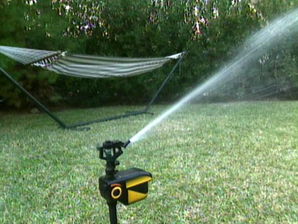 motion sensing scarecrow waterer is tested on lawn motion sensing scarecrow waterer is tested on lawn