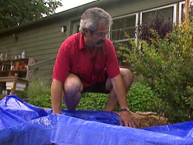 transfer shrub to tarp and drag it to new place transfer shrub to tarp and drag it to new place