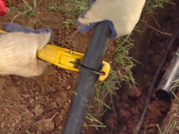 trim off any excess pipe trim off any excess pipe