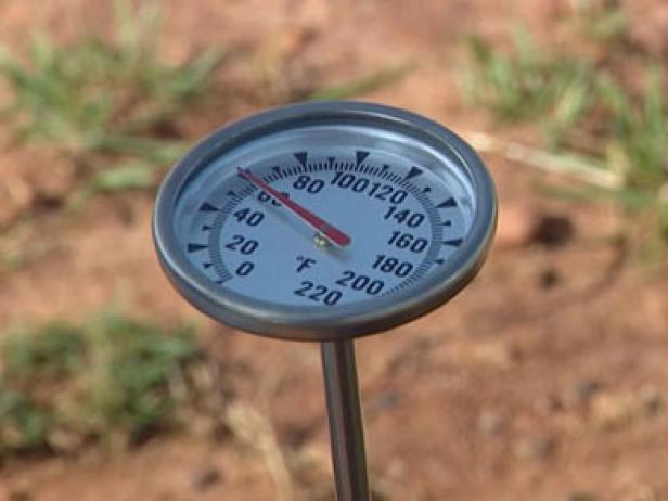 soil temperature is critical to plant growth soil temperature is critical to plant growth