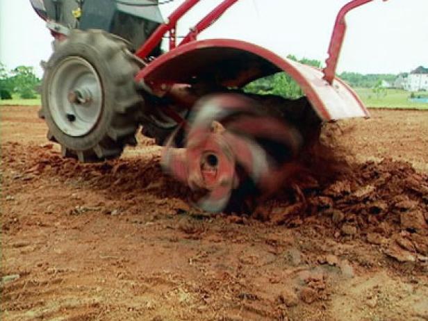 Prior to sowing the seed, it's best to amend the soil. Begin by using a garden tiller to break up the planting area. If the soil is hard, make several passes over it until it's sufficiently loosened