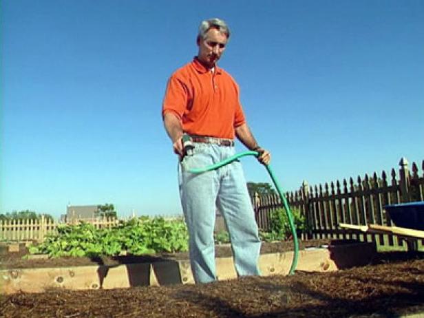 Water Rows of Kale with Mister Water Rows of Kale with Mister