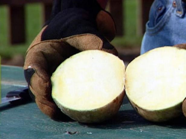 rutabagas should be yellow on the inside when cut rutabagas should be yellow on the inside when cut