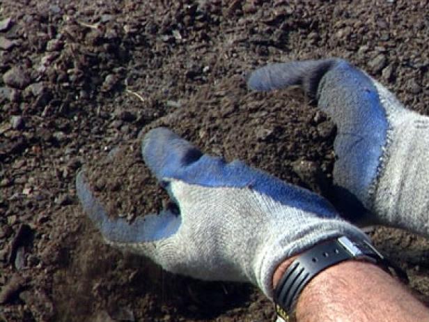 Prepare Raised Beds Before Planting Carrots Prepare Raised Beds Before Planting Carrots