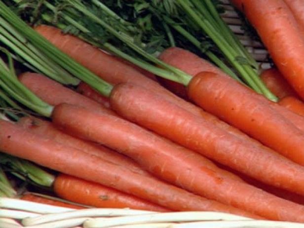 Bright Orange Carrots are Ready for Harvest Bright Orange Carrots are Ready for Harvest