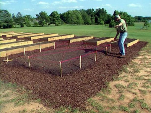 keep birds out of vegetables use bird screening keep birds out of vegetables use bird screening