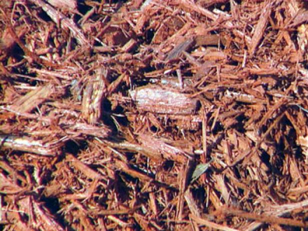 Mulch Options Mulch Options