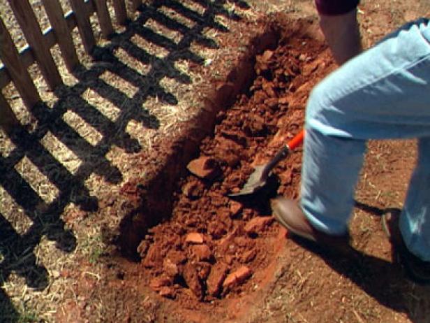 dug pit will give buffer between roots and manure dug pit will give buffer between roots and manure