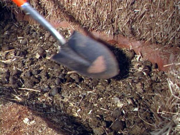 fresh manure heats the soil inside hot frame fresh manure heats the soil inside hot frame