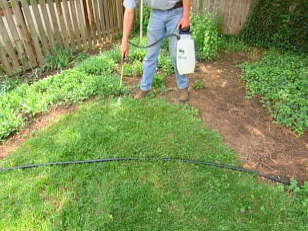 Killing Your Lawn Killing Your Lawn