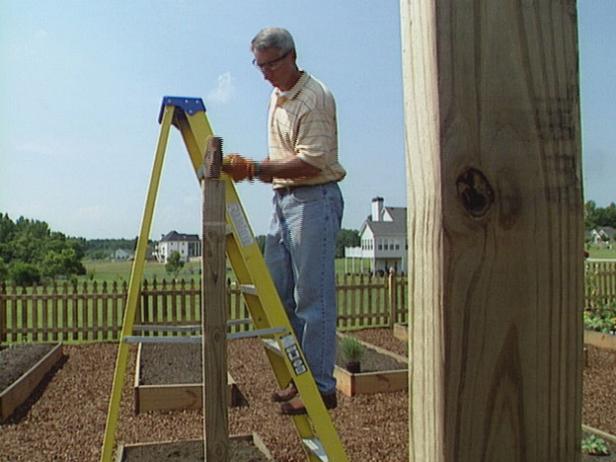 a trellis does not have to be expensive or fancy a trellis does not have to be expensive or fancy