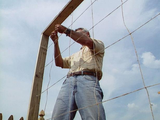 use garden twine to create netting on trellis use garden twine to create netting on trellis