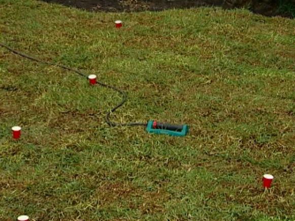 keep lawn properly watered and fertilized keep lawn properly watered and fertilized
