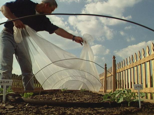 Row Covers Protect Plants Row Covers Protect Plants