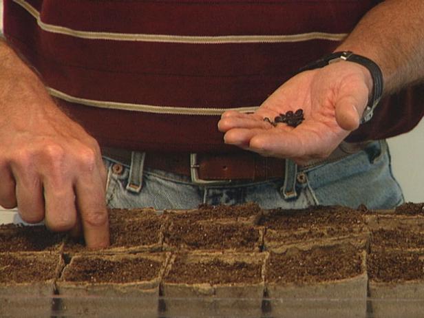 Start Seedlings in Peat Pots Start Seedlings in Peat Pots