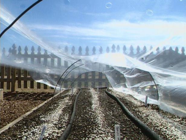 plastic garden covers speed up germination process plastic garden covers speed up germination process