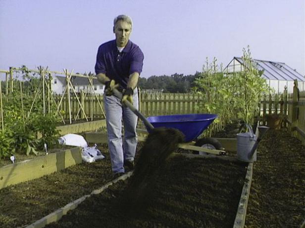 Prepare Soil in a Sunny Spot to Grow Broccoli Prepare Soil in a Sunny Spot to Grow Broccoli