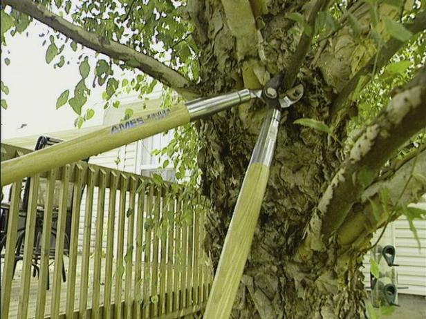 loppers are good for cutting hard to reach limbs loppers are good for cutting hard to reach limbs