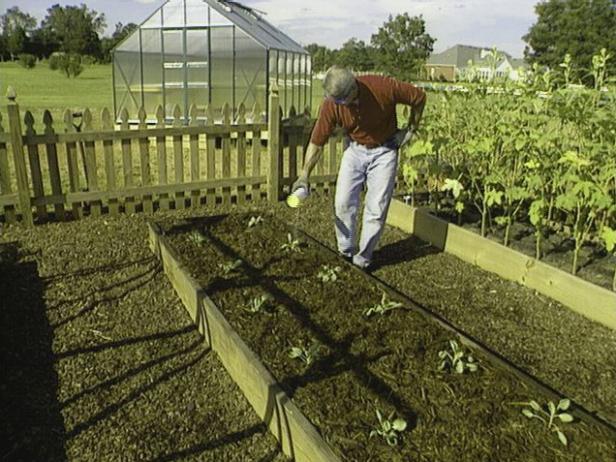 Plant, Water and Fertilize Seedlings Plant, Water and Fertilize Seedlings