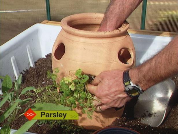 start with a large, sturdy container start with a large, sturdy container
