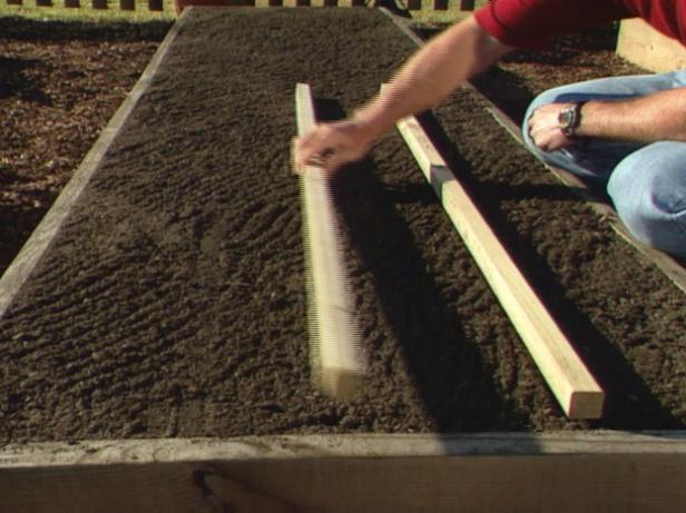 Sowing Your Seeds Sowing Your Seeds