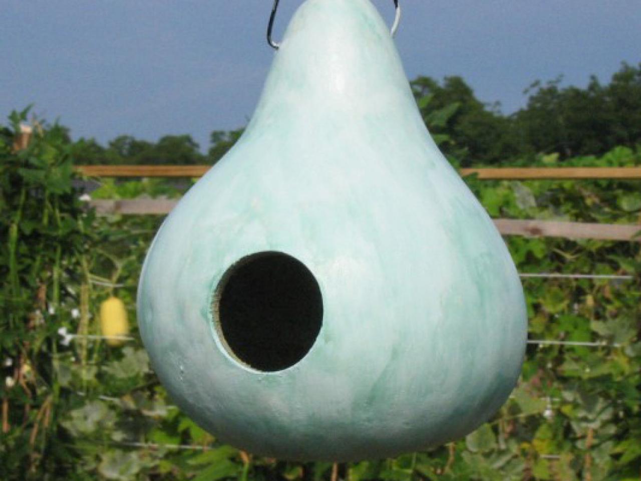 How to Make a Gourd Bird House howtos DIY