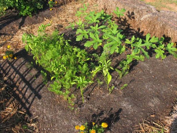 compost is important part of organic garden compost is important part of organic garden