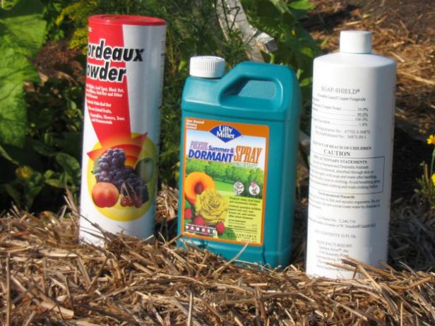 fungicides and bactericides for organic gardens fungicides and bactericides for organic gardens