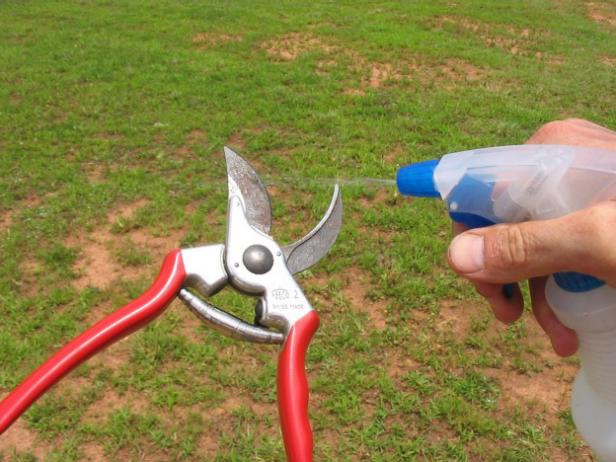 use antibacterial wipes on tools use antibacterial wipes on tools
