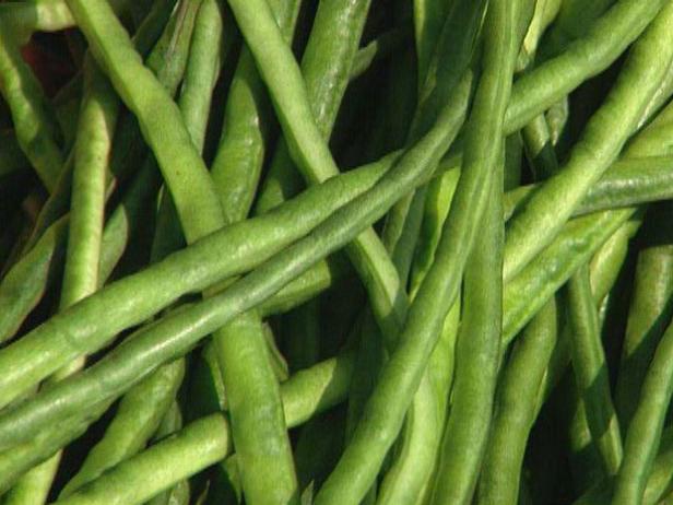 yardlong beans will grow to nearly 30 inches long yardlong beans will grow to nearly 30 inches long