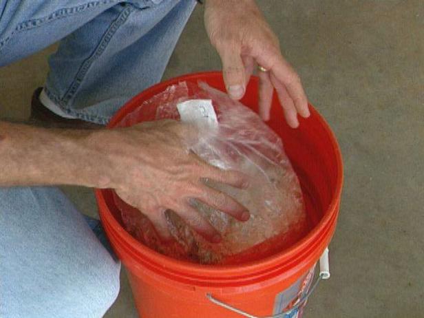 Soak Package of Mushroom Spores in Water Soak Package of Mushroom Spores in Water