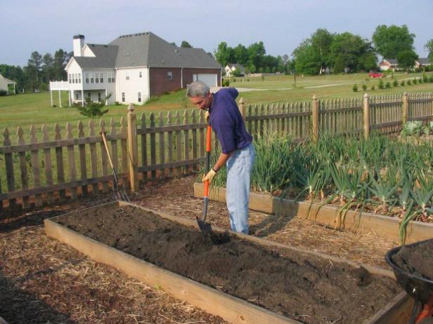 Prepare Soil for Planting Tomatoes Prepare Soil for Planting Tomatoes