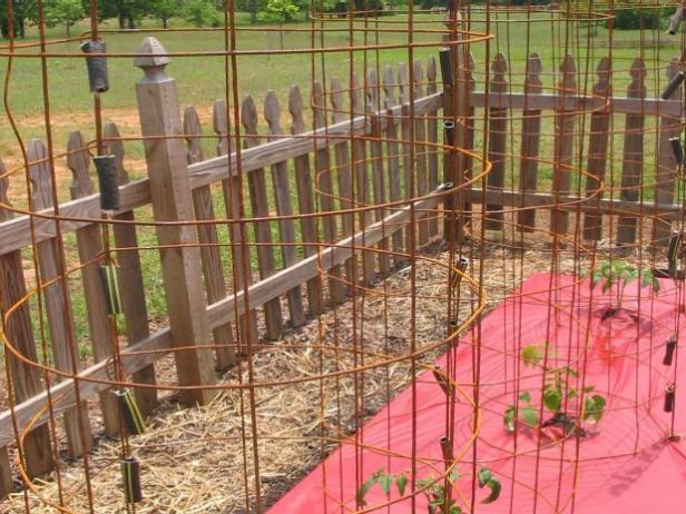 Using wire snips, cut 60"-tall wire-mesh fencing to a length of 60" for each plant. To turn the wire mesh into a tomato cage, join the ends to form a cylindrical tower. Fasten the cages by connecting the ends to one another with wire. Place mesh cages where you intend to place each tomato plant. Secure by attaching to 6' wooden stakes driven deep into the soil