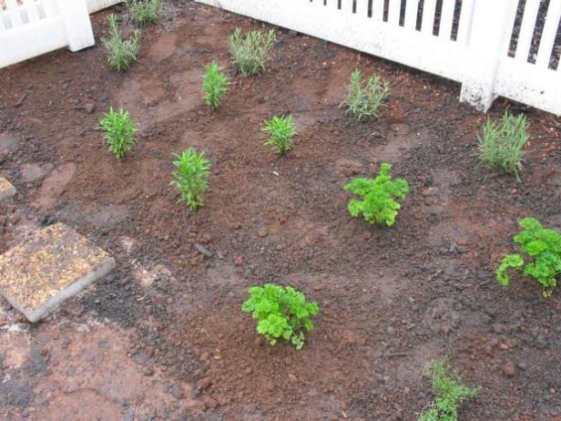 create flavor zones by grouping similar plants create flavor zones by grouping similar plants