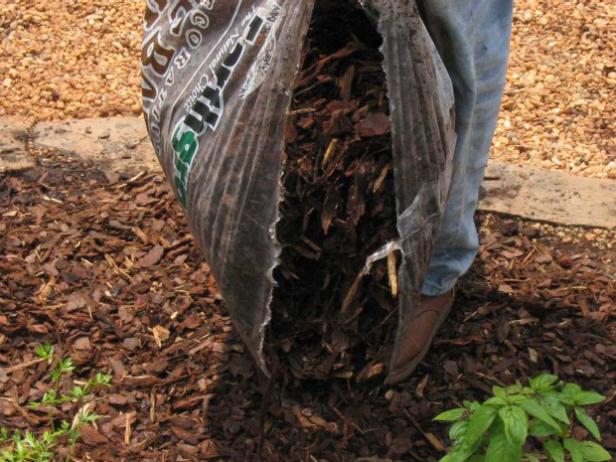 pine mulch adds organic material to garden pine mulch adds organic material to garden