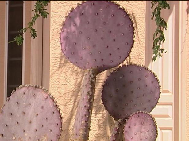 santa rita prickly pear produces edible fruit santa rita prickly pear produces edible fruit