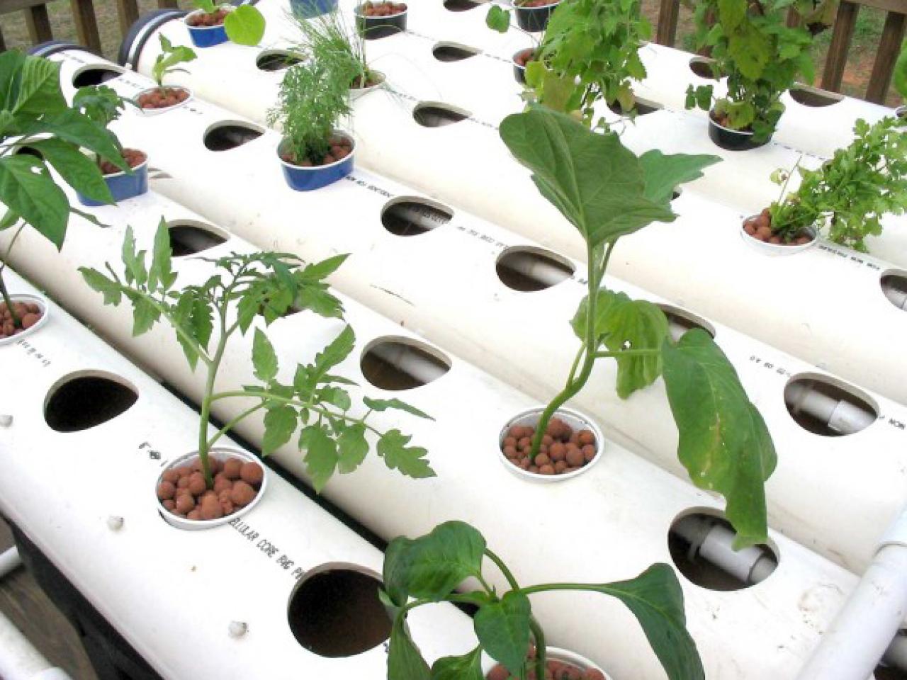 Growing plants without soil information