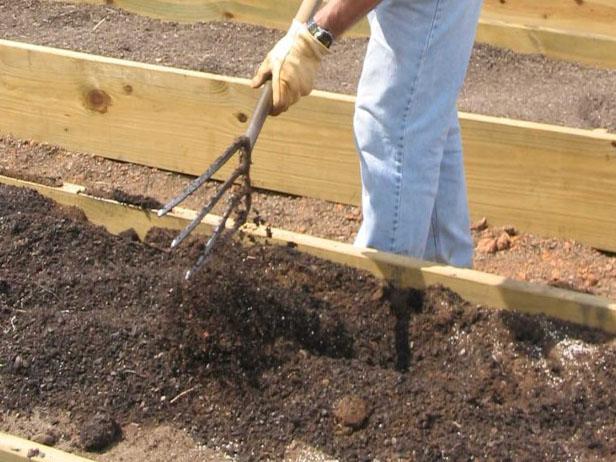 Step 2: Prepare the Site for Beets Preparing Soil in Garden Bed for Beets