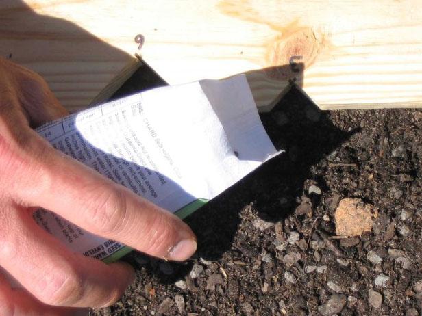 Step 2: Plant the Seeds Step 2: Plant the Seeds