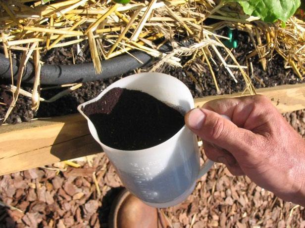Step 4: Cultivate the Swiss Chard Step 4: Cultivate the Swiss Chard