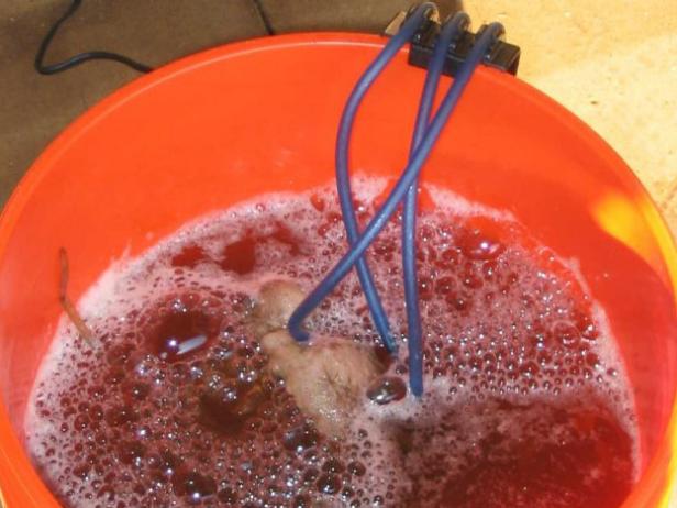 aerate compost tea to make an aerobic brew aerate compost tea to make an aerobic brew