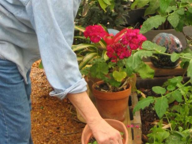 pests are kept under control in two ways pests are kept under control in two ways