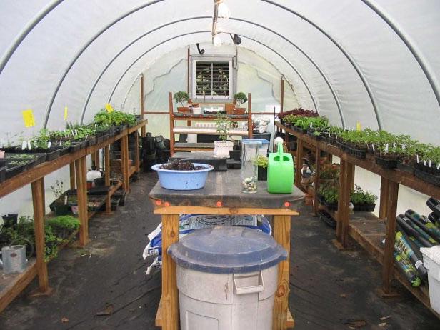 hoophouse has metal frame wrapped in clear plastic hoophouse has metal frame wrapped in clear plastic