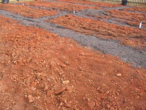 soil analysis will give the pH level of the soil soil analysis will give the pH level of the soil