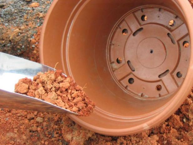 dig sample of soil and put in clean bucket or pot dig sample of soil and put in clean bucket or pot