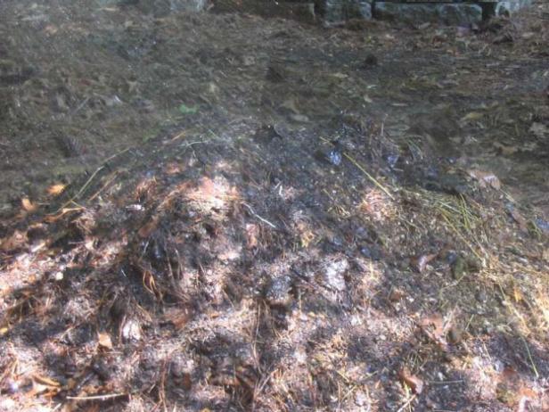 manure is loaded with nutrients for compost manure is loaded with nutrients for compost