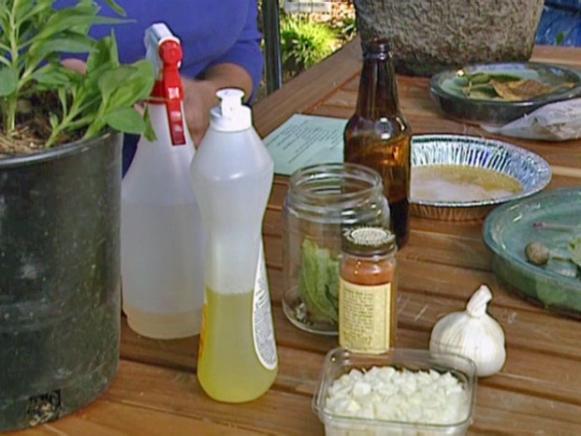 homemade mixture will deter number of garden pests homemade mixture will deter number of garden pests