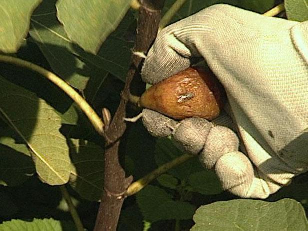 Use Gloves for Protection Use Gloves for Protection