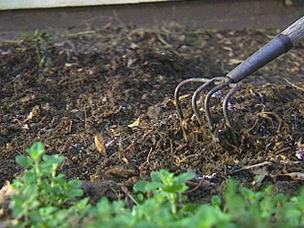 amend soil with organic material amend soil with organic material