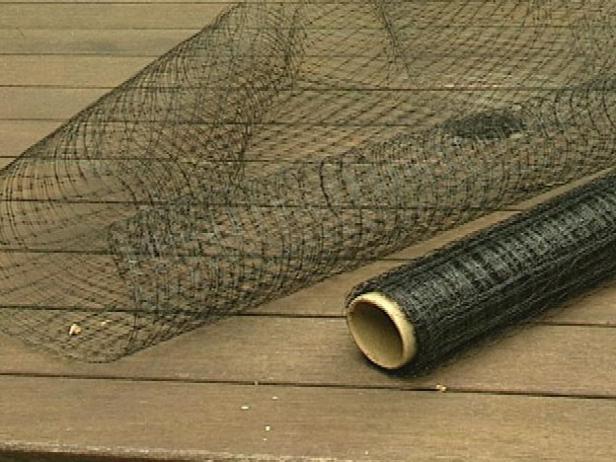 Protect Cherries from Birds with Netting Protect Cherries from Birds with Netting